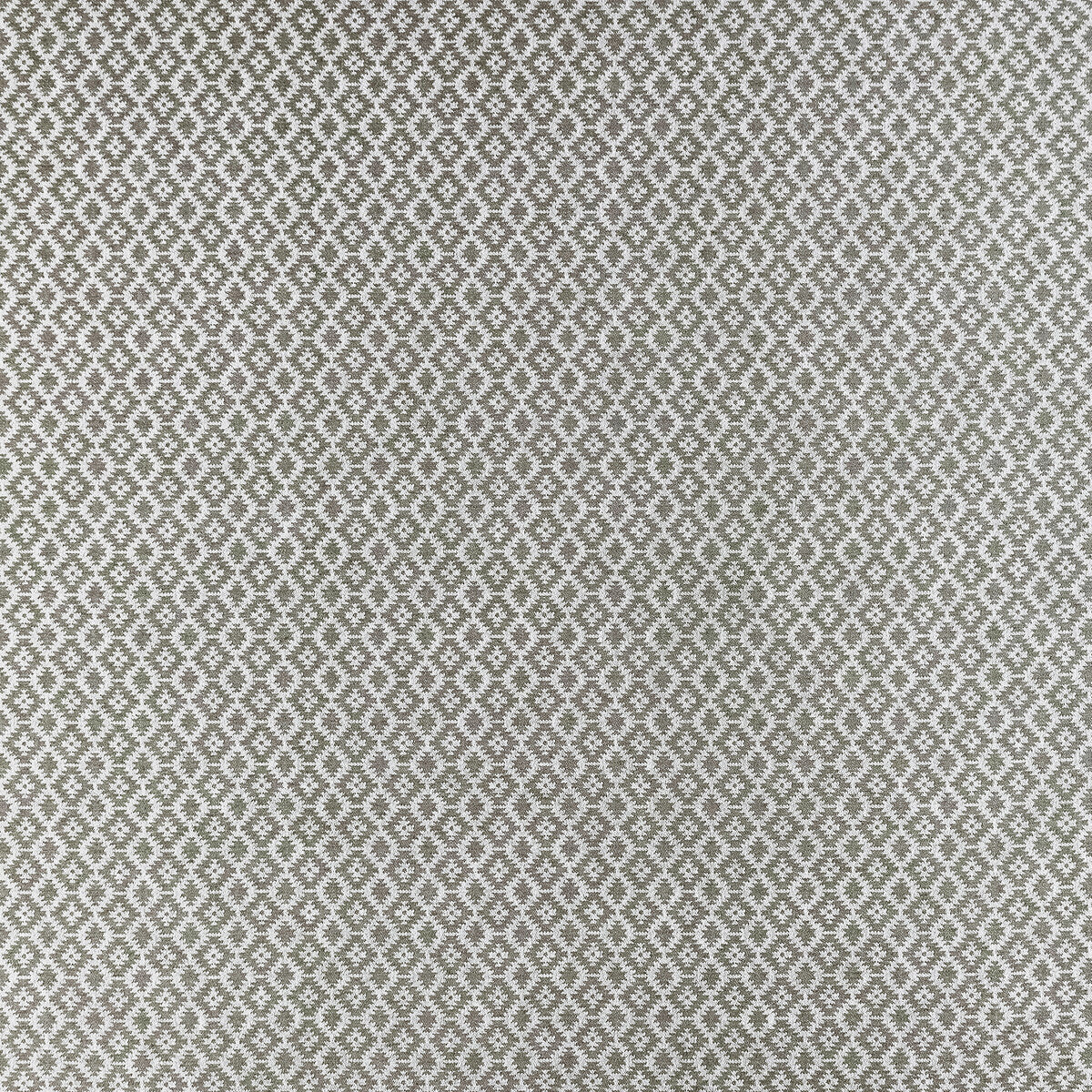 Mono-Charcoal