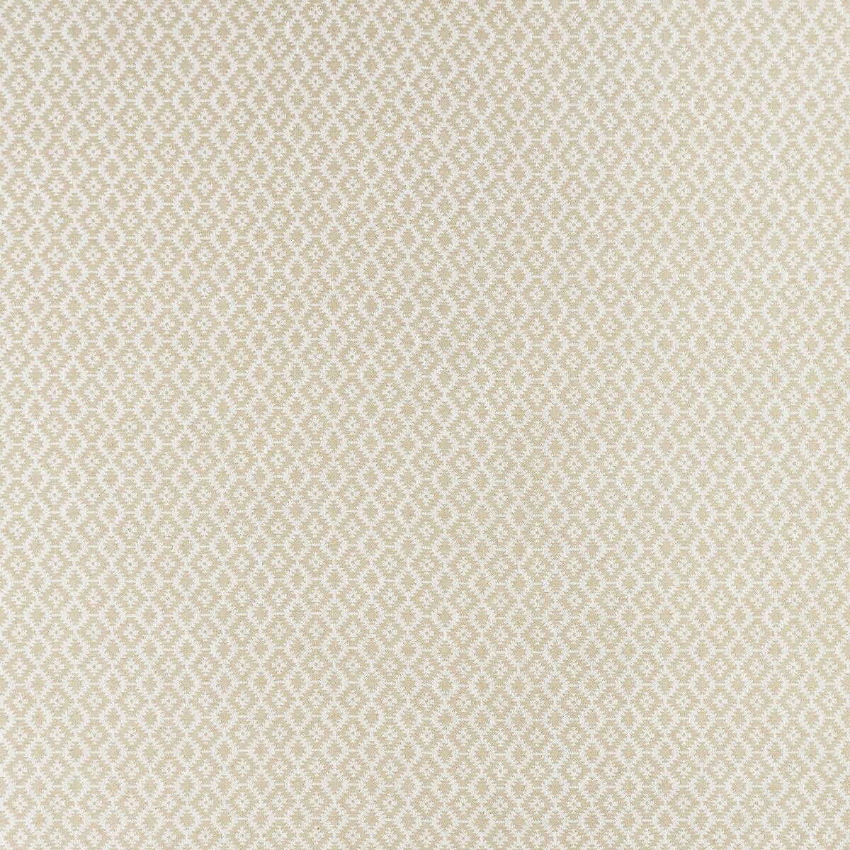 Mono-Ivory/Linen
