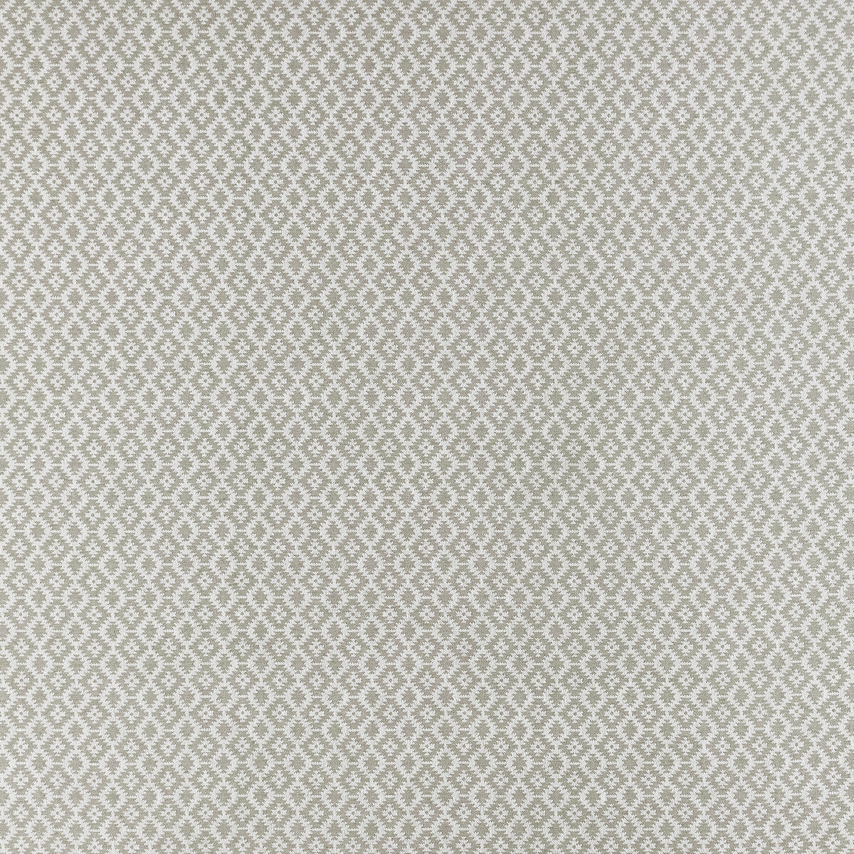 Mono-Silver