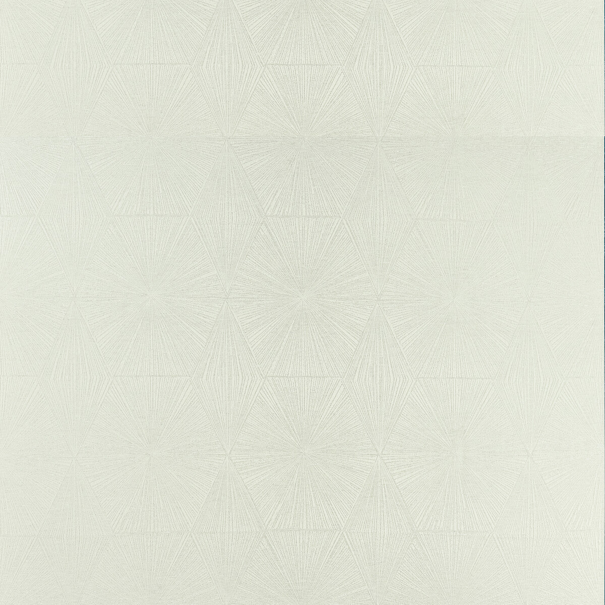 Blaize-Silver