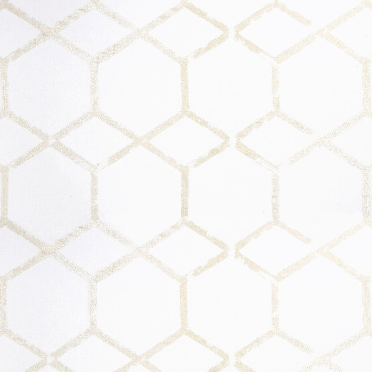Forma-Champagne