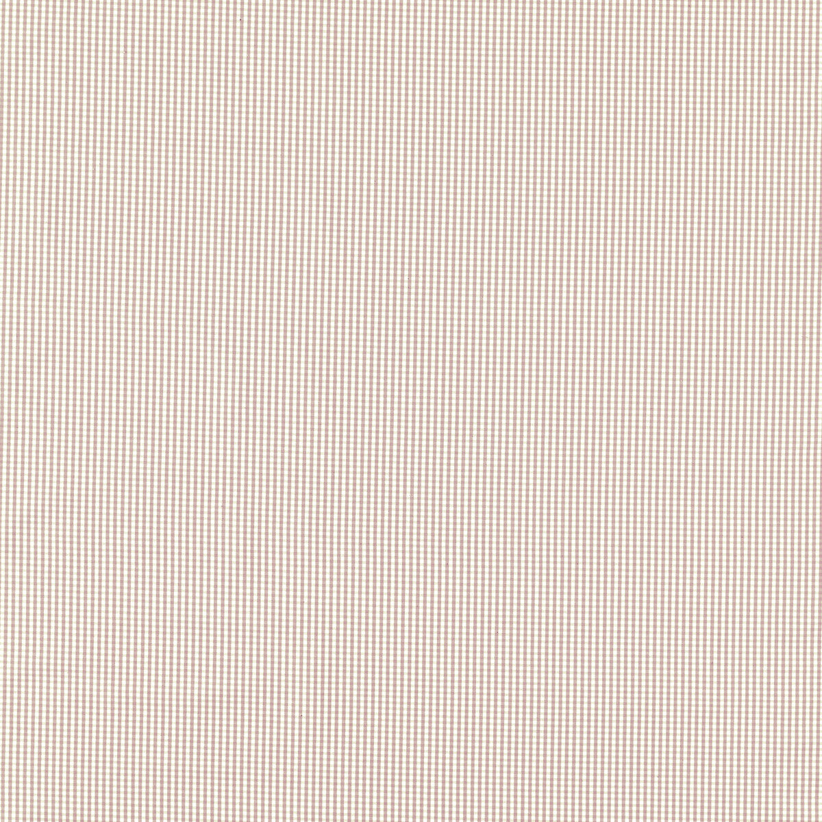 Windsor-Blush