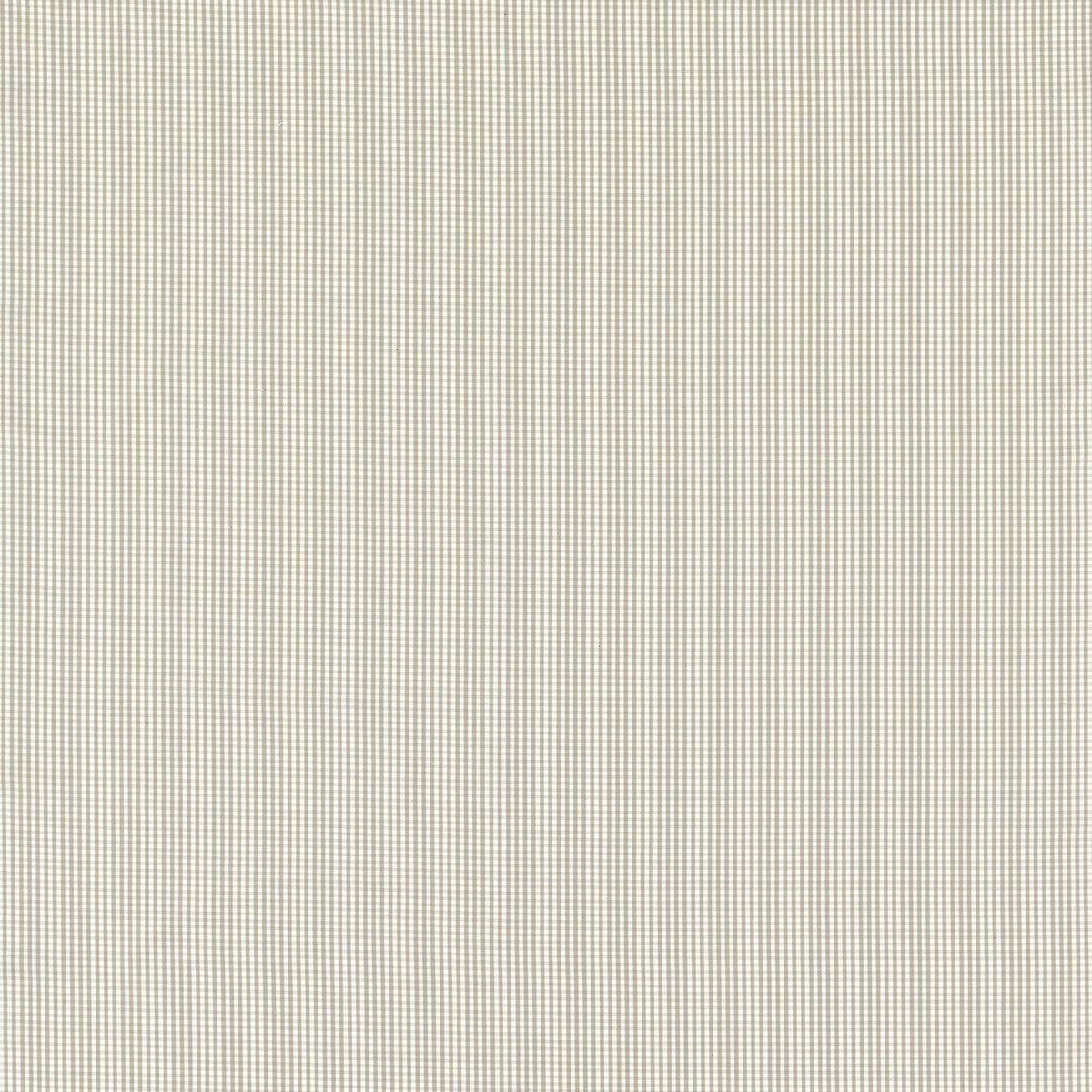 Windsor-Dove