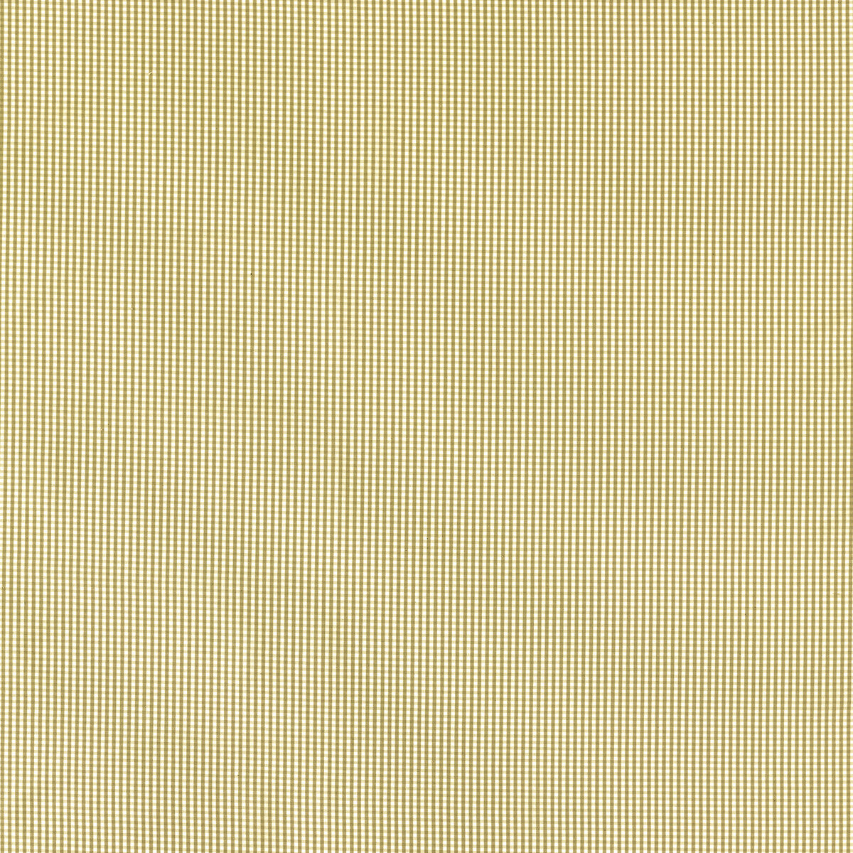 Windsor-Ochre