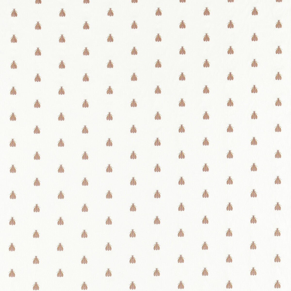 Falena-Blush/Gold