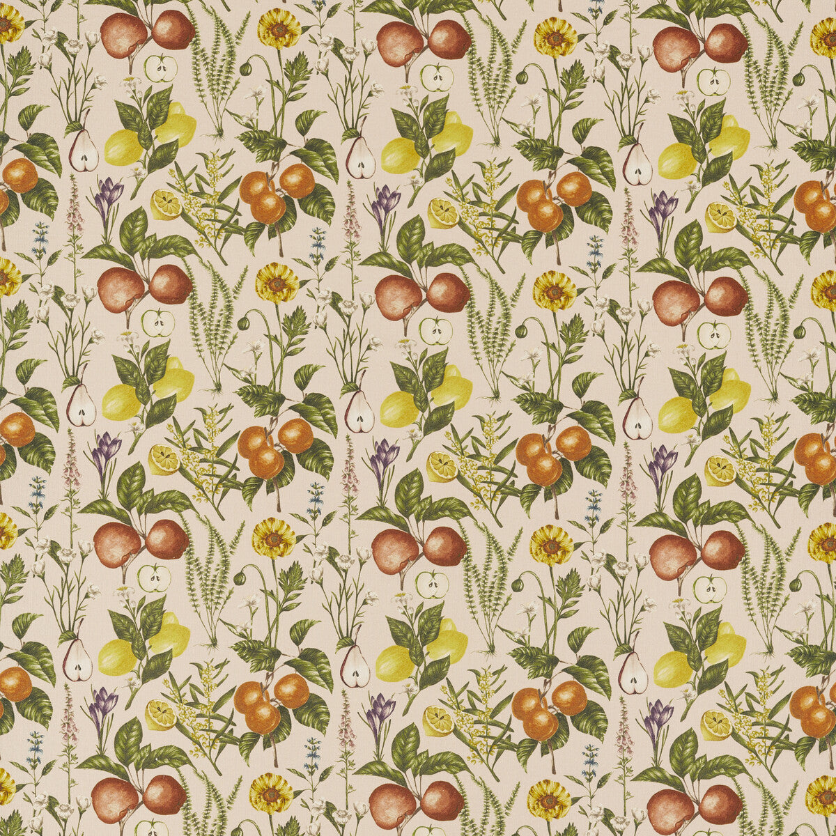 Sorento-Blush