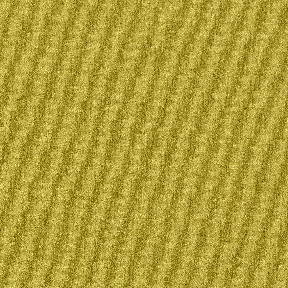 Miami-Chartreuse