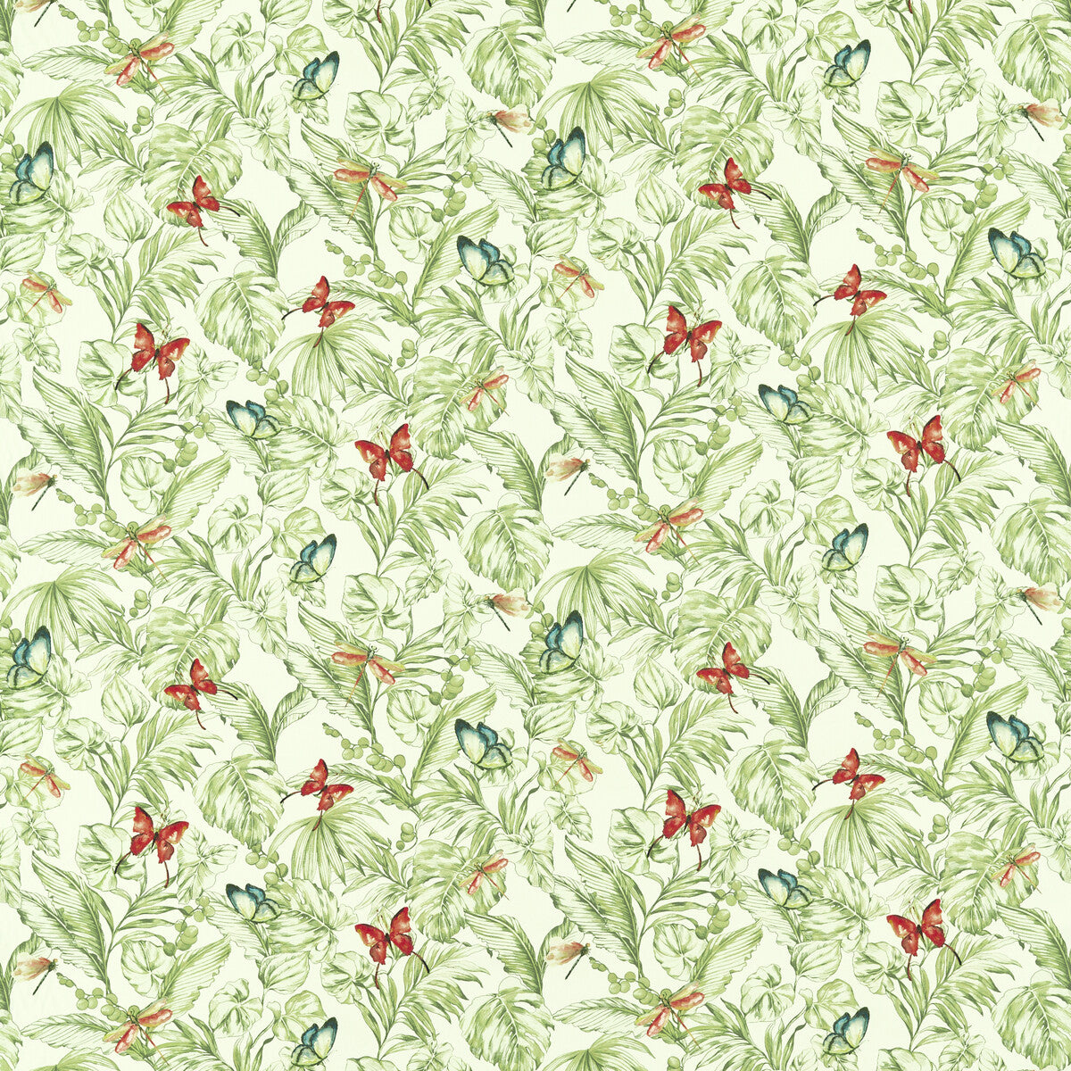 Acadia-Olive/Spice