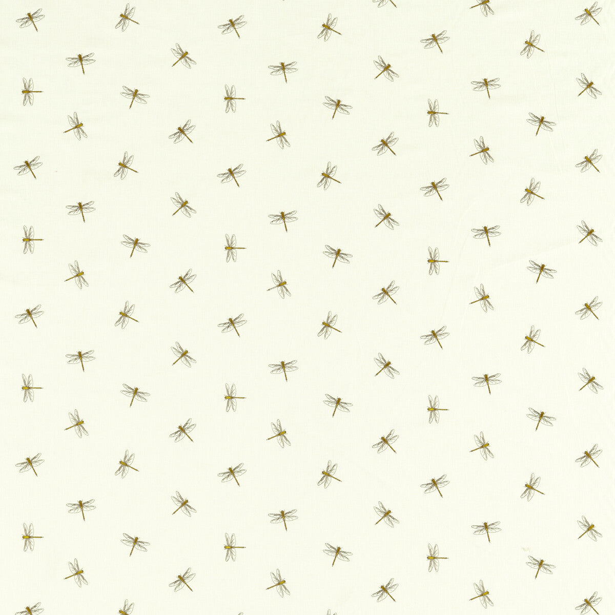 Damsel-Citron