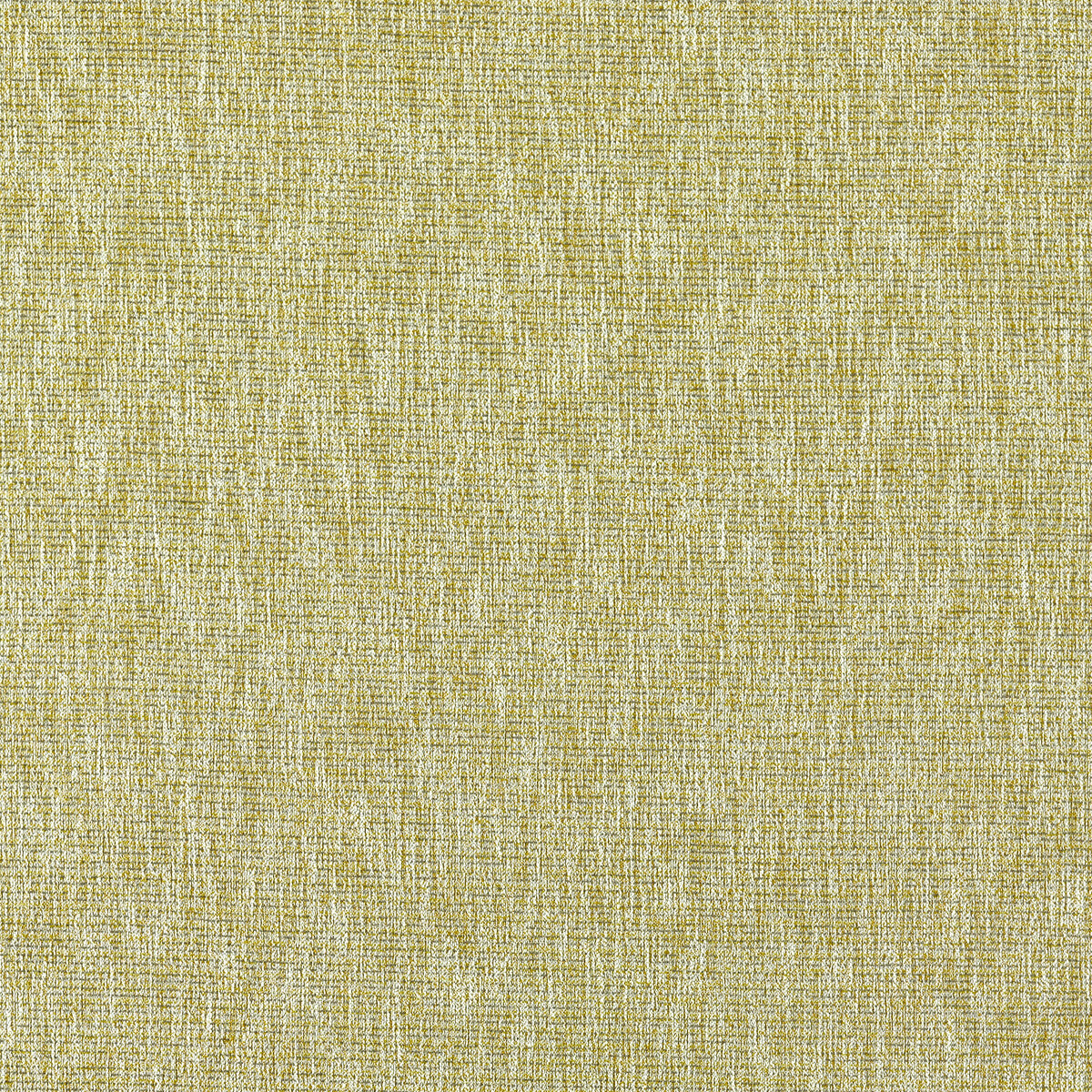 Avani-Chartreuse