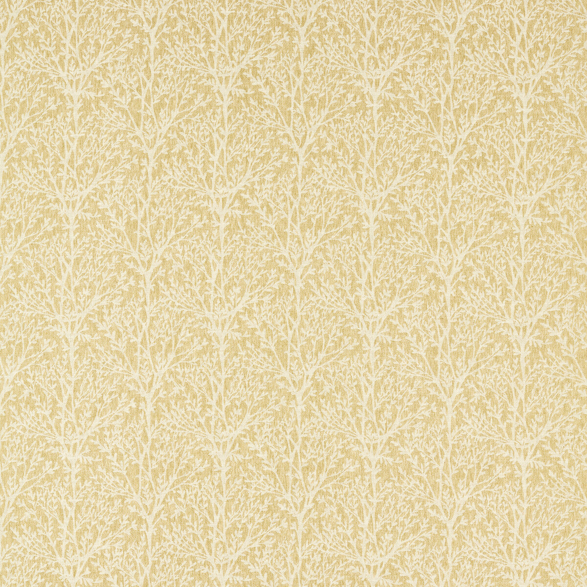 Croft-Ochre