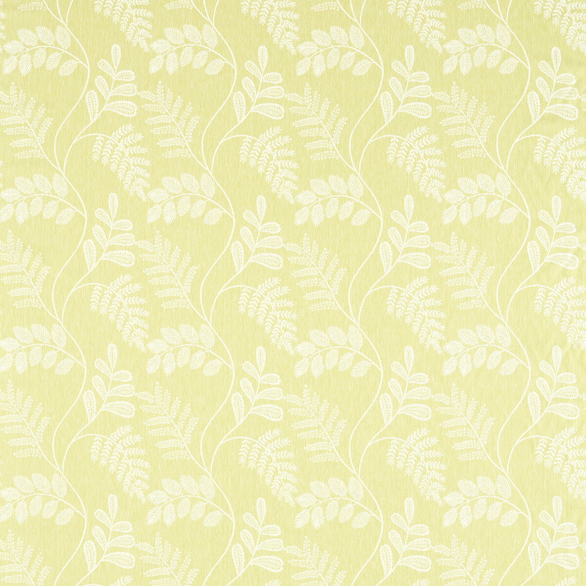 Audette-Citron