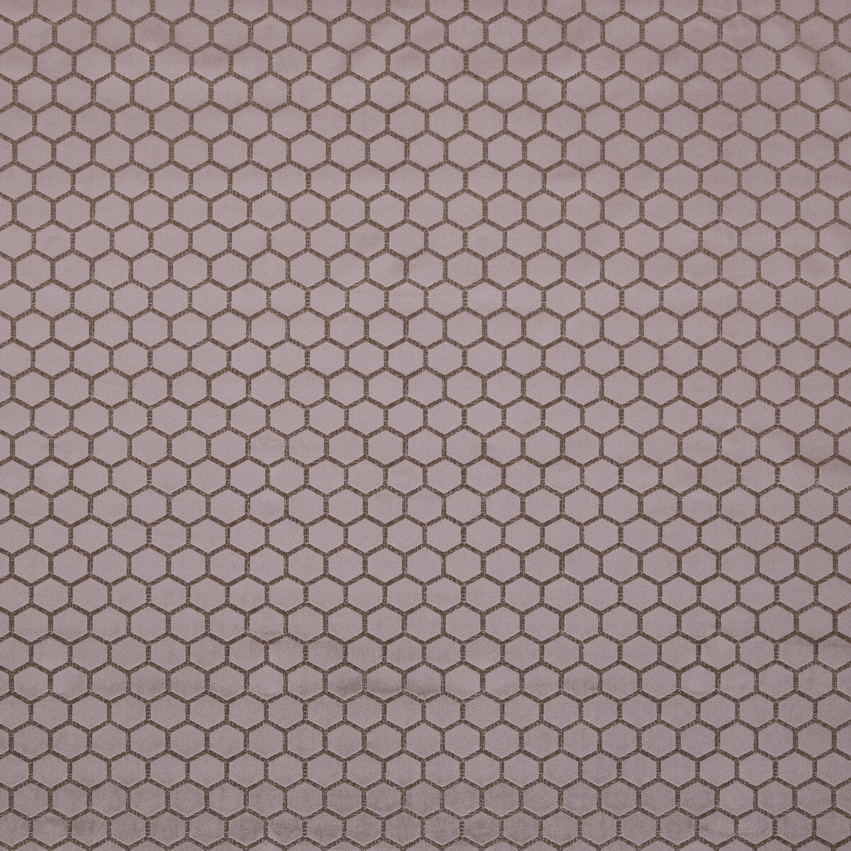 Hexa-Heather