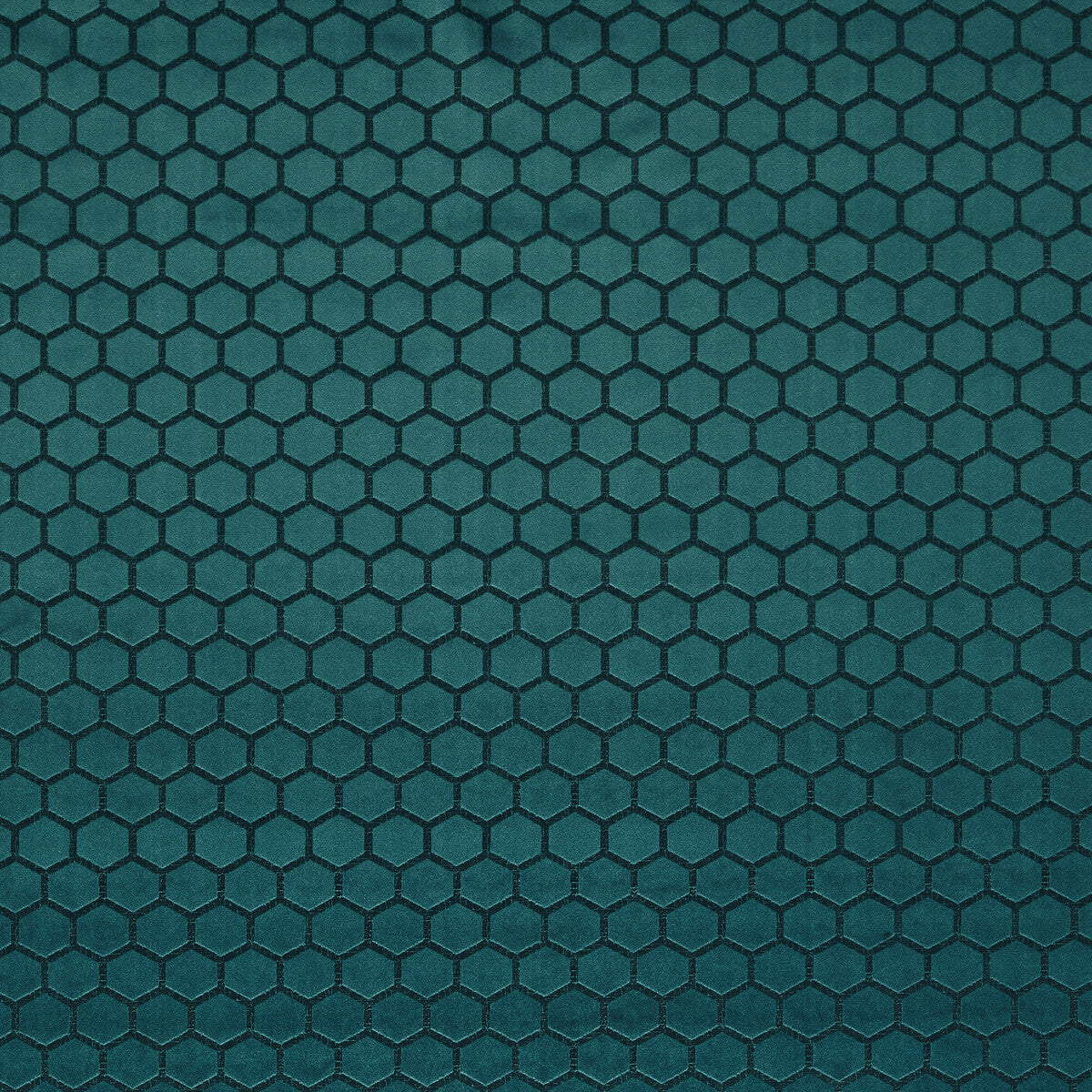 Hexa-Peacock