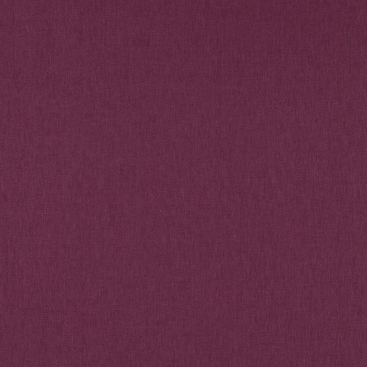 Orla-Fuchsia