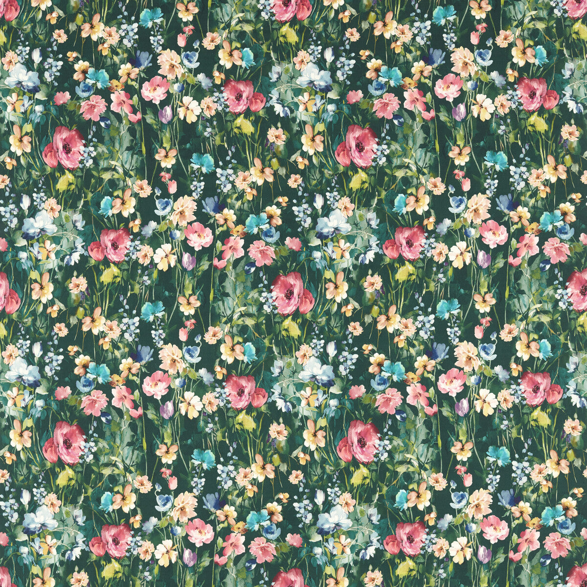 Wild Meadow-Forest