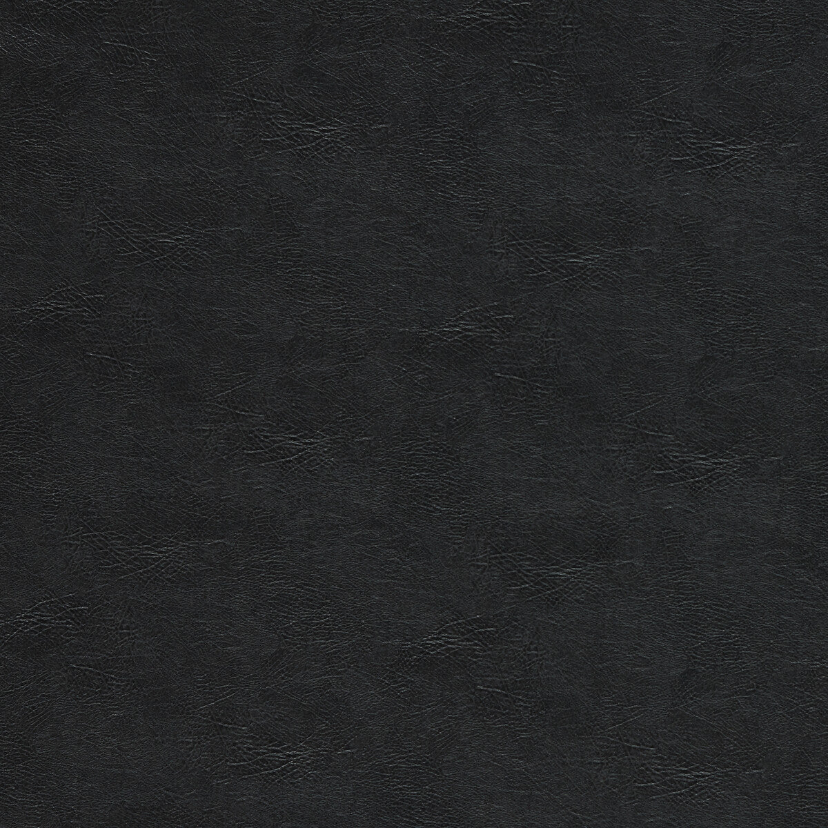 Dawson-Charcoal