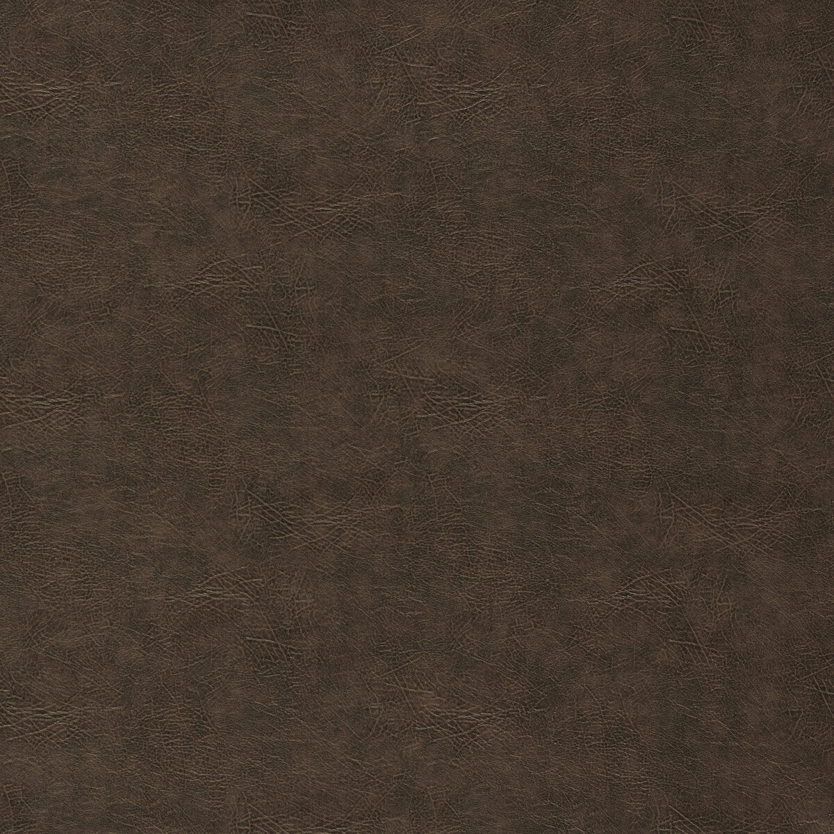 Dawson-Teak