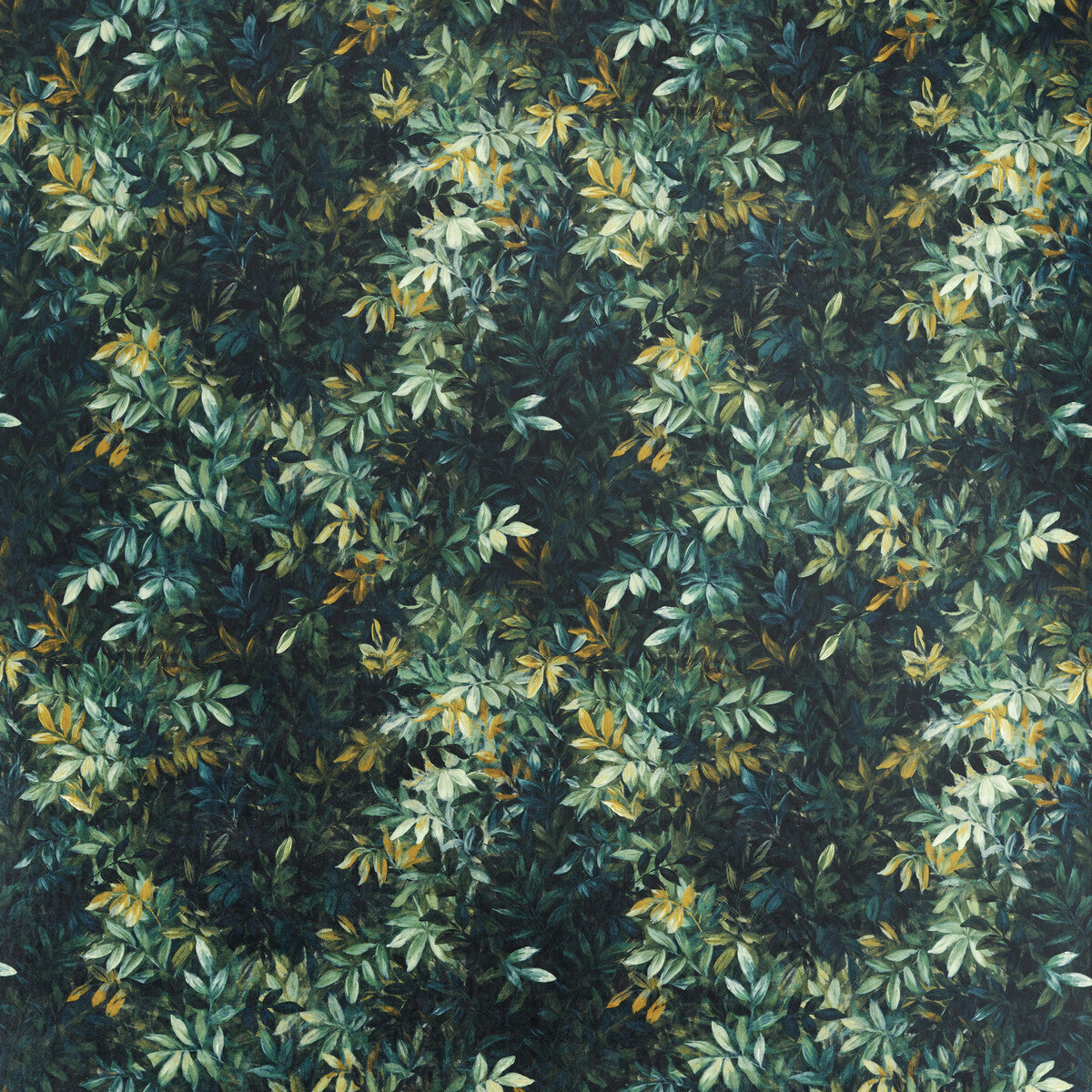 Congo-Forest Velvet