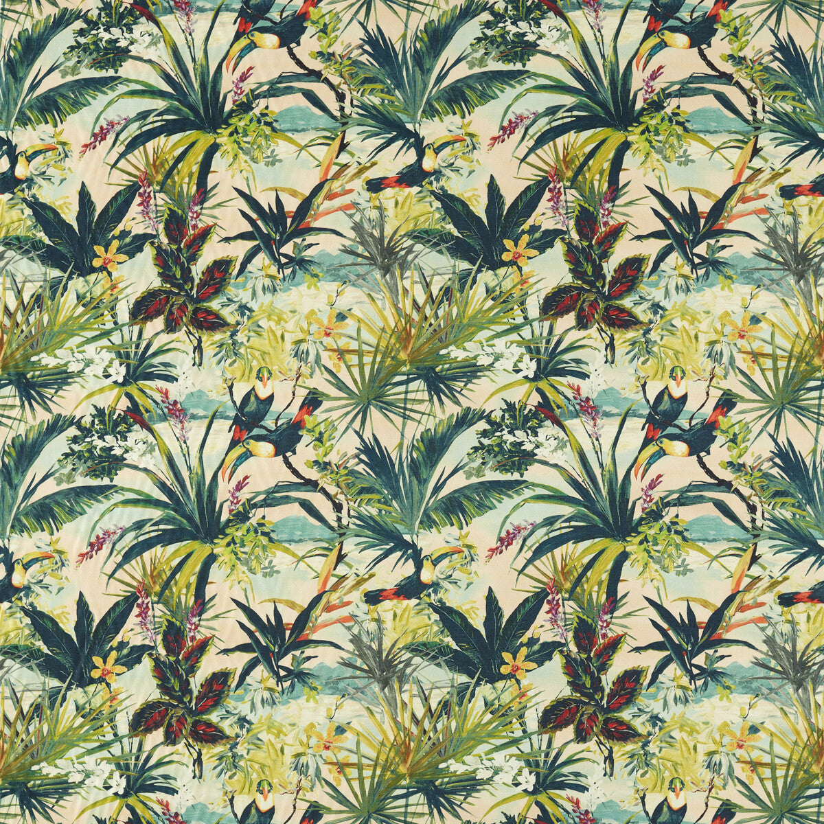 Toucan-Blush