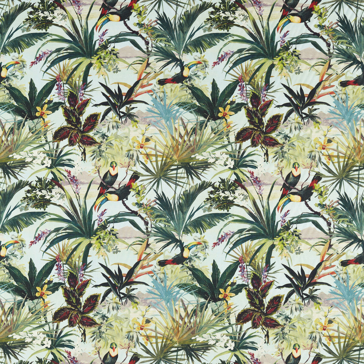 Toucan-Sky