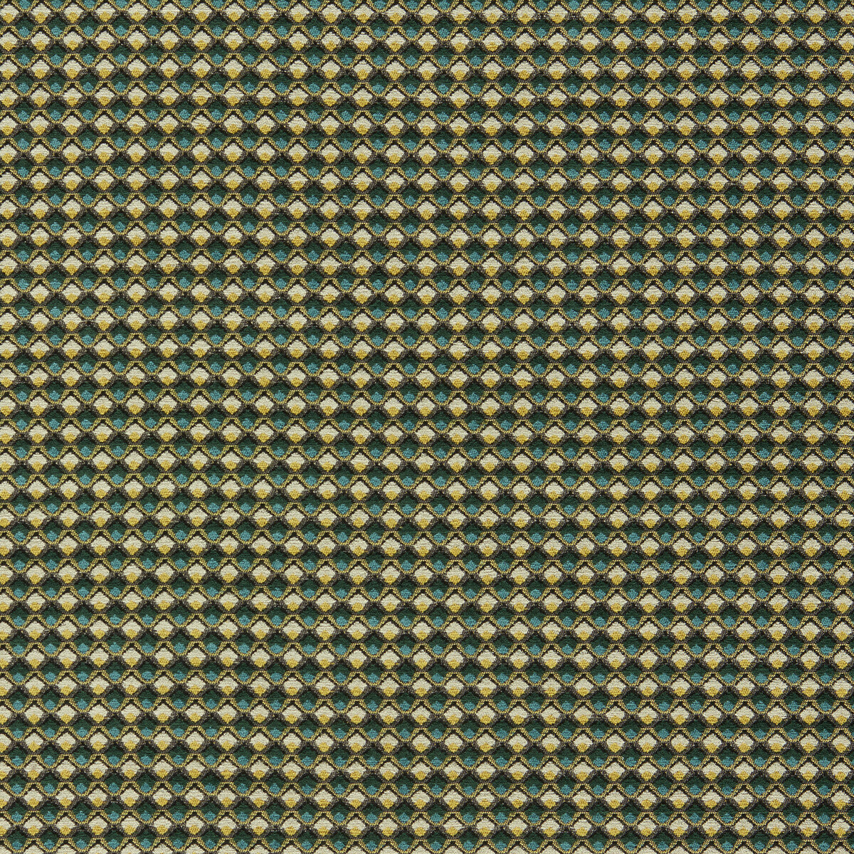 Lyra-Teal/Citrus