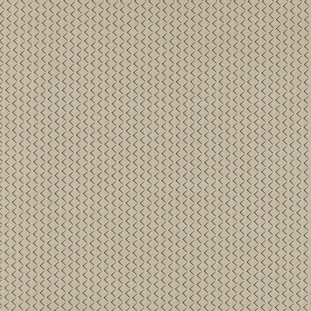 Equator-Natural
