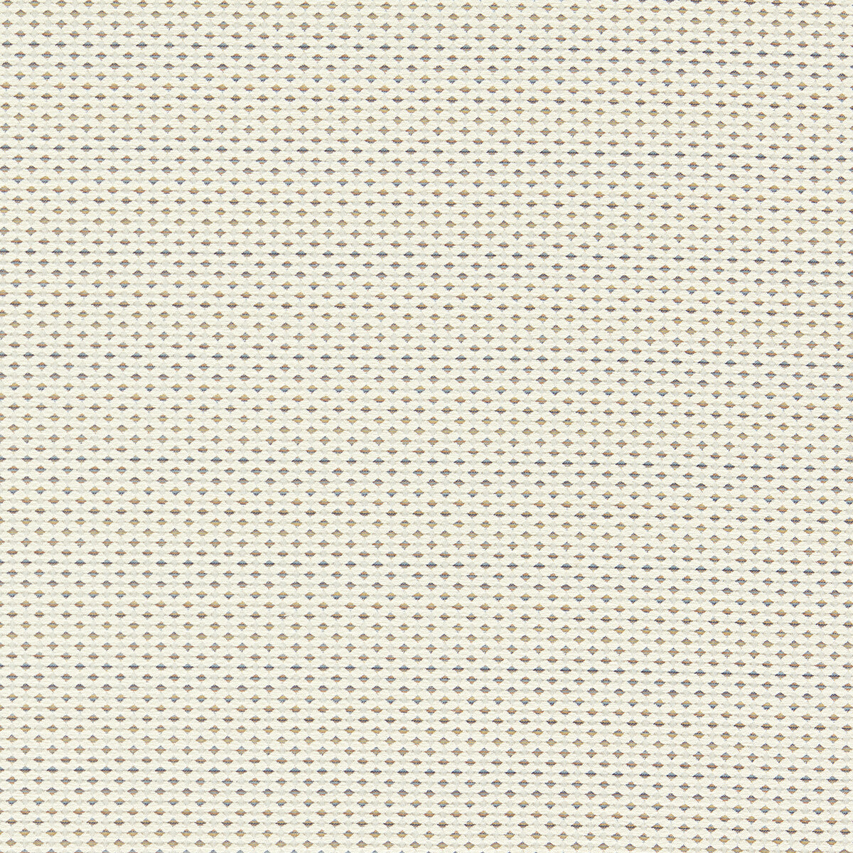 Pavo-Ivory/Denim