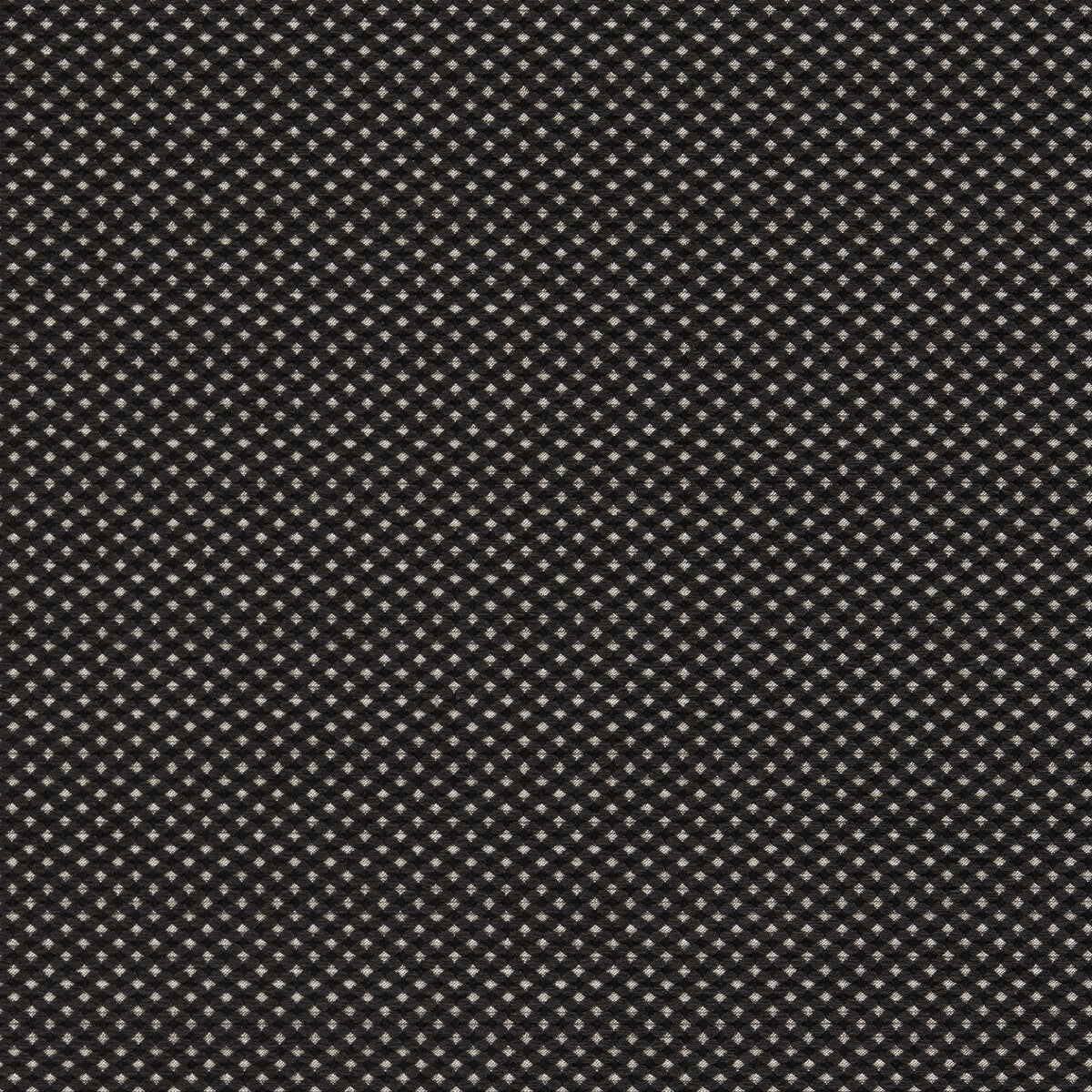 Pavo-Noir