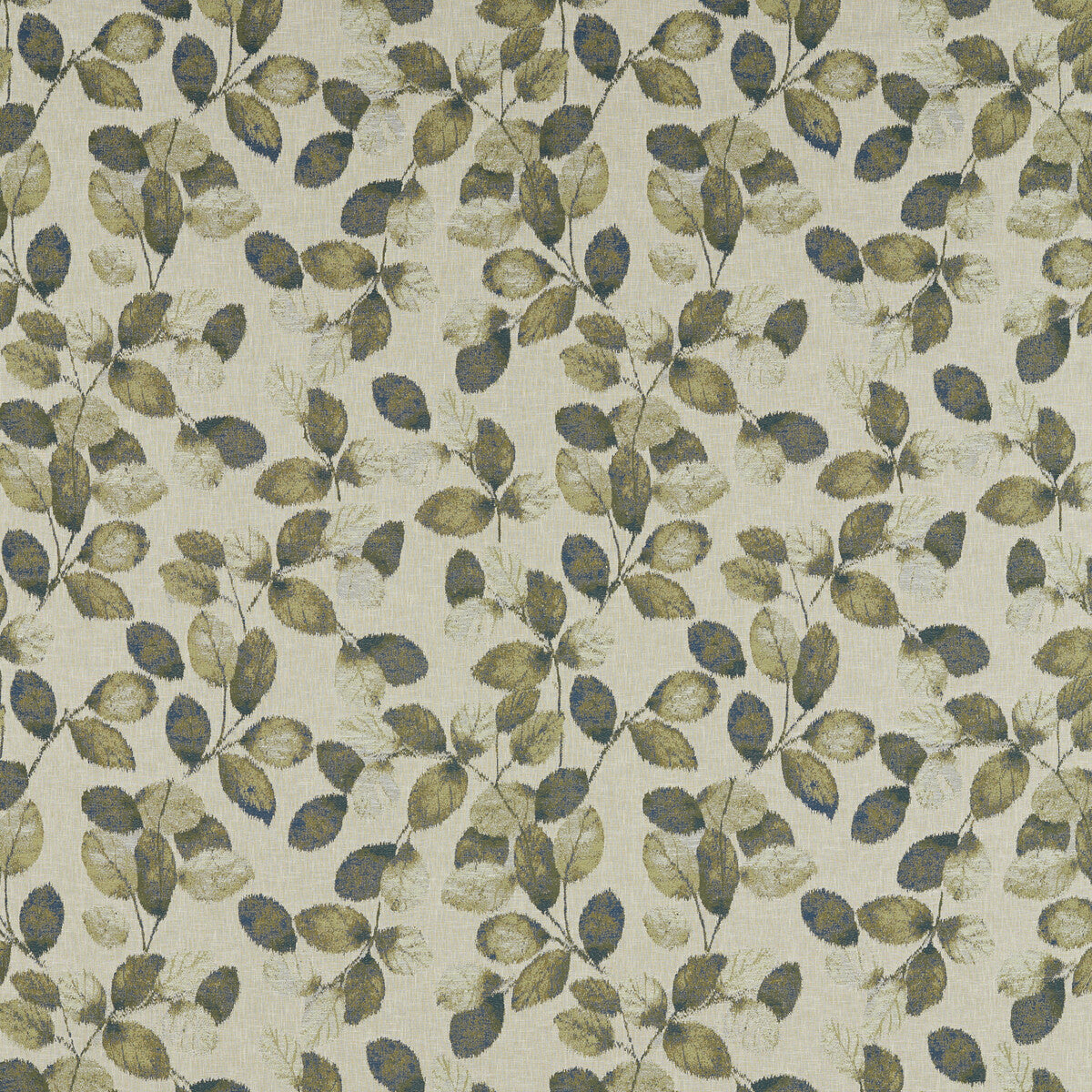 Northia-Olive Peacock
