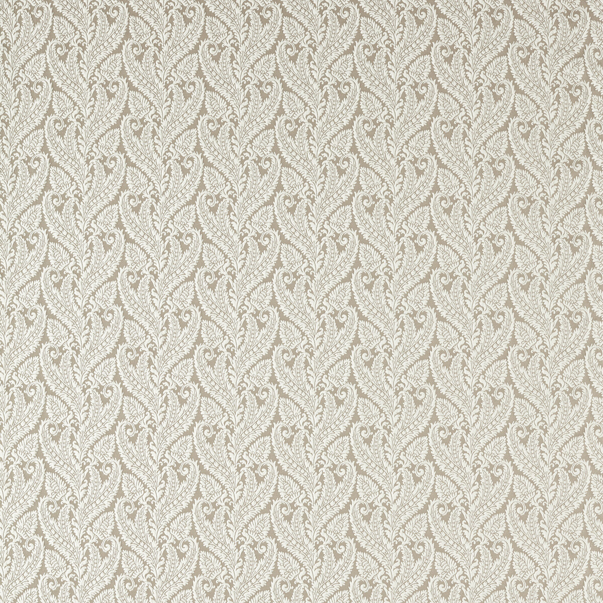 Regale-Ivory Mocha