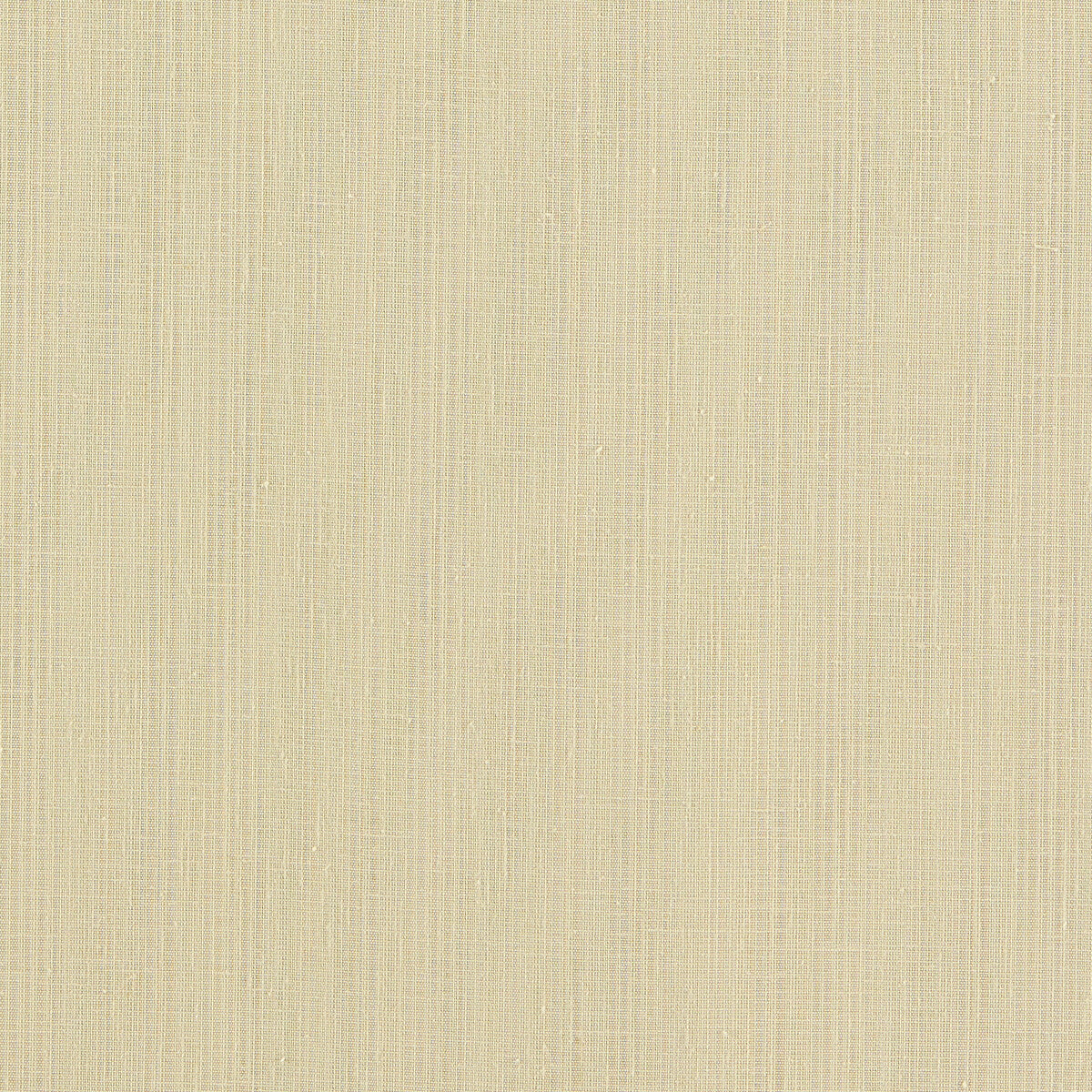 Remo-Raffia