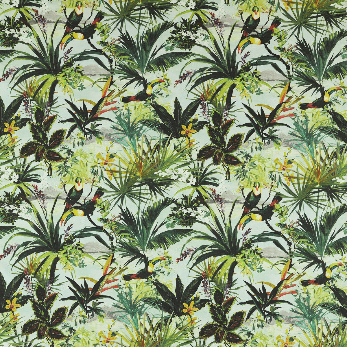 Toucan-Outdoor