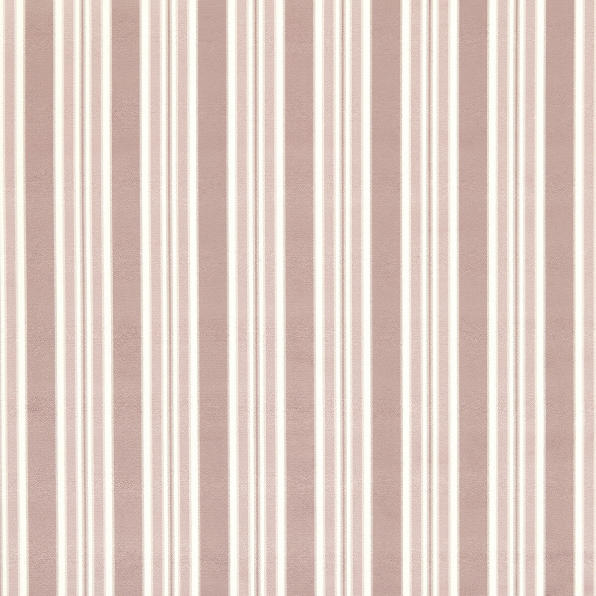 Wilmott-Blush