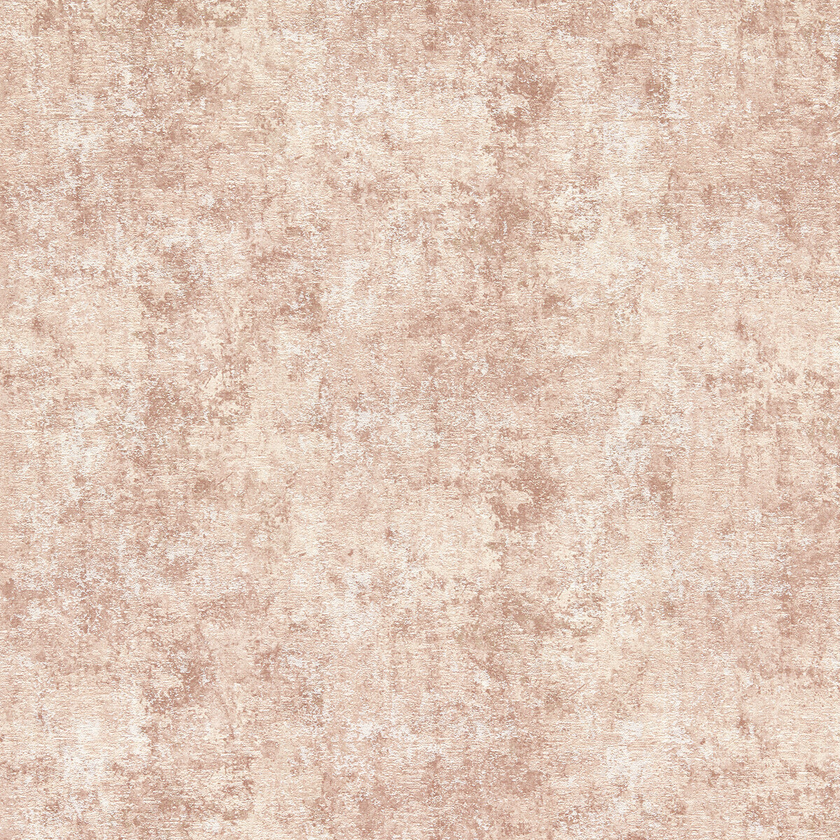 Pittura-Blush