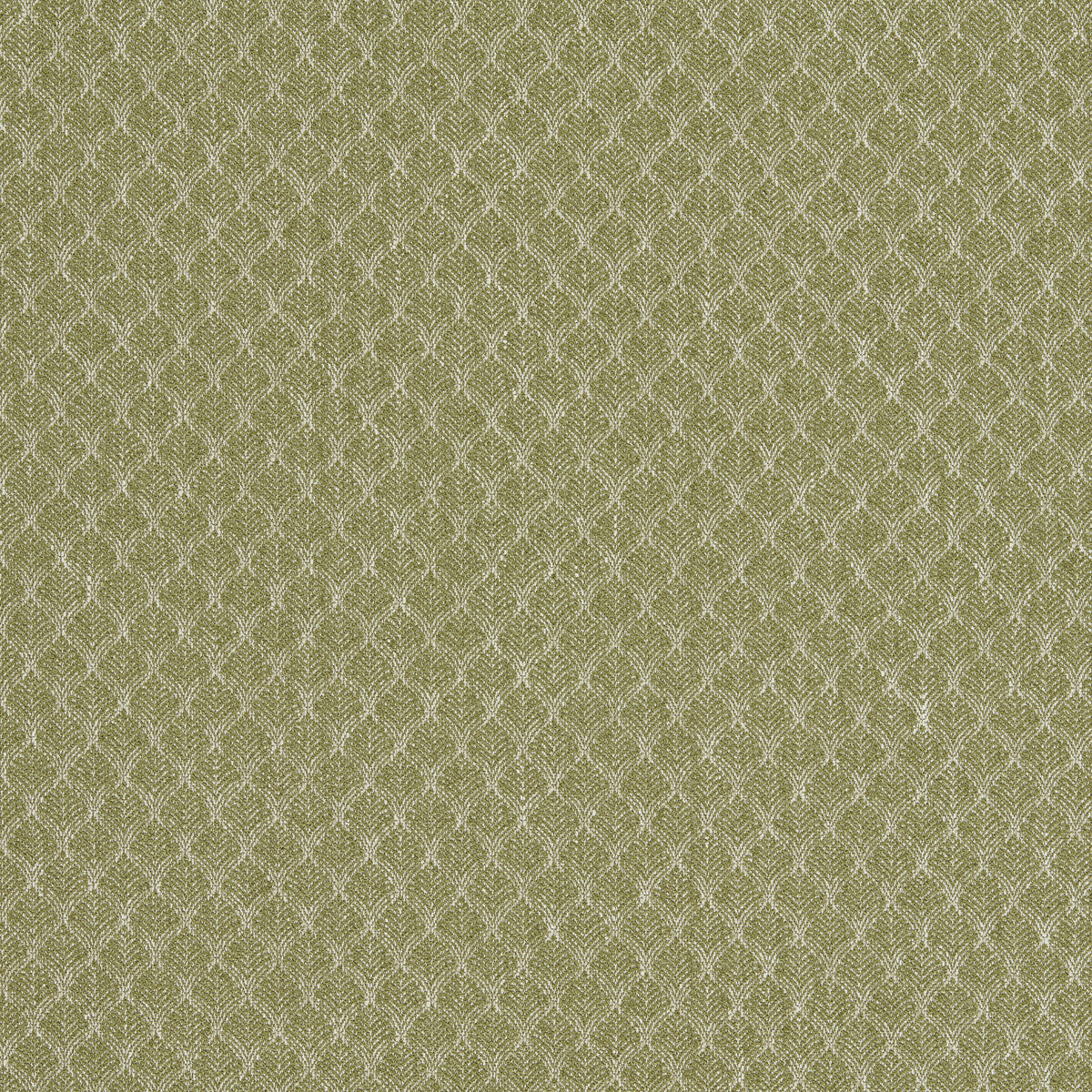Trelica-Olive