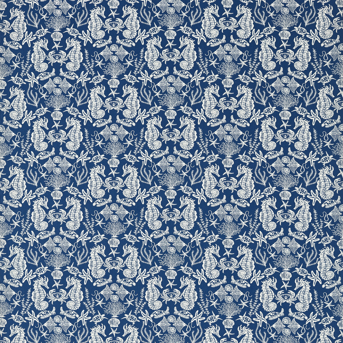 Aquarium-Navy