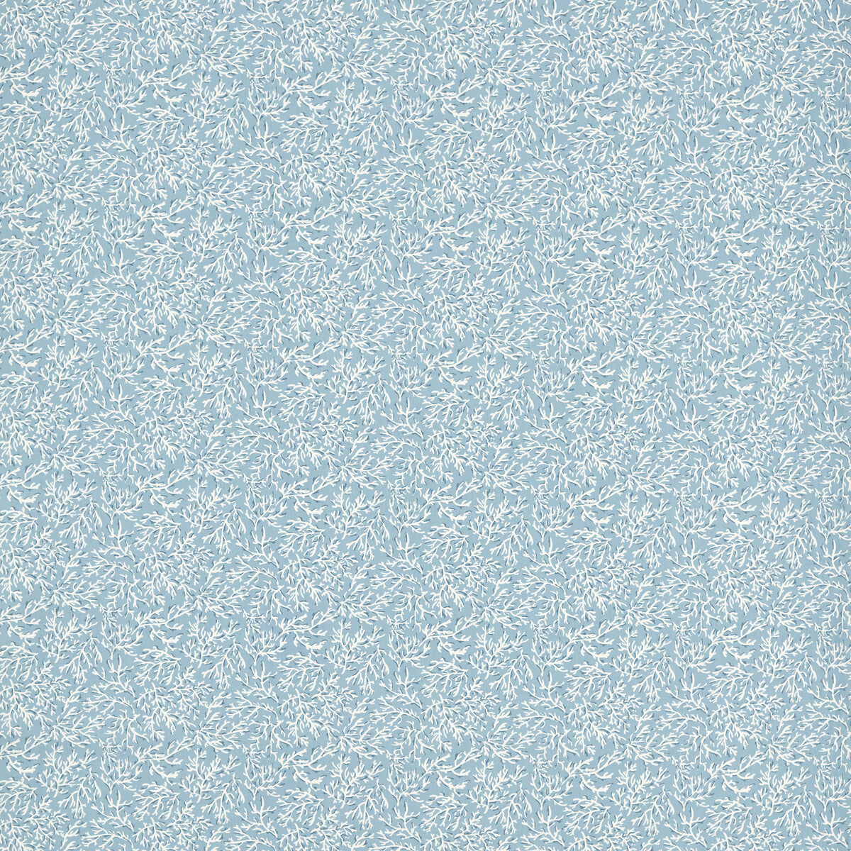 Seabed-Cloud