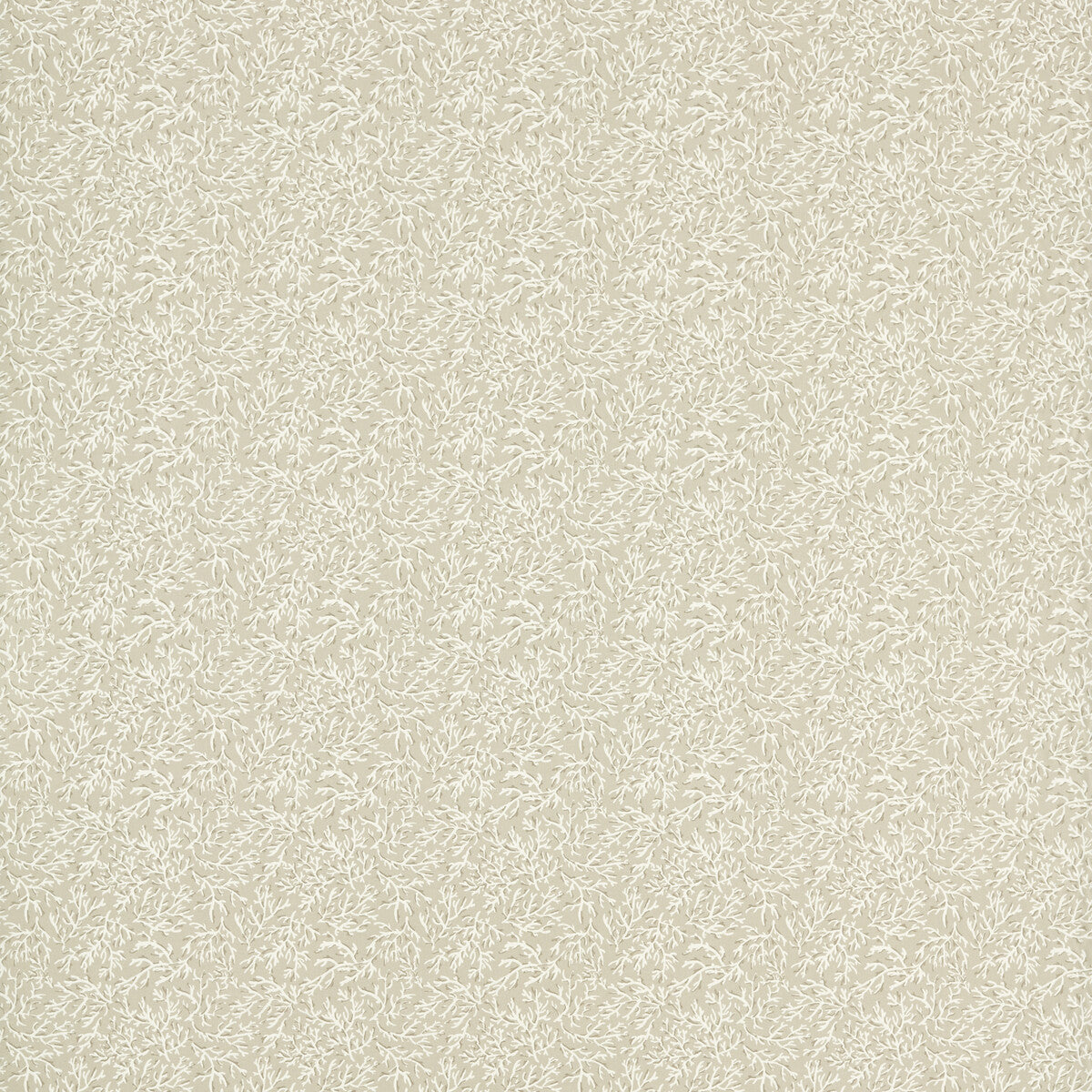 Seabed-Natural