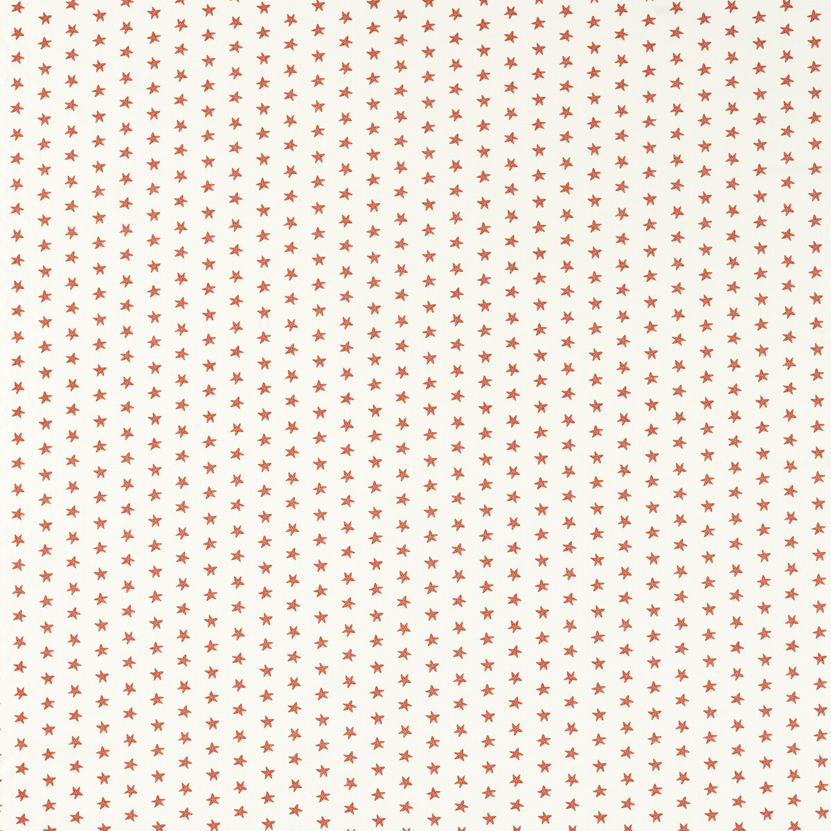 Seastar-Coral