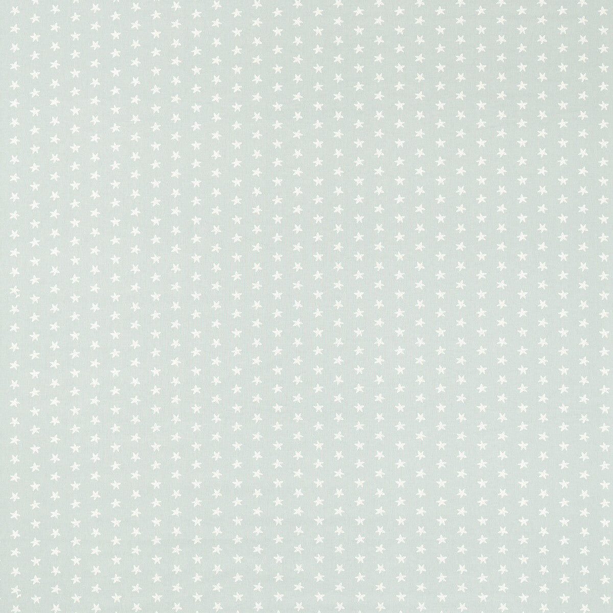 Seastar-Mineral