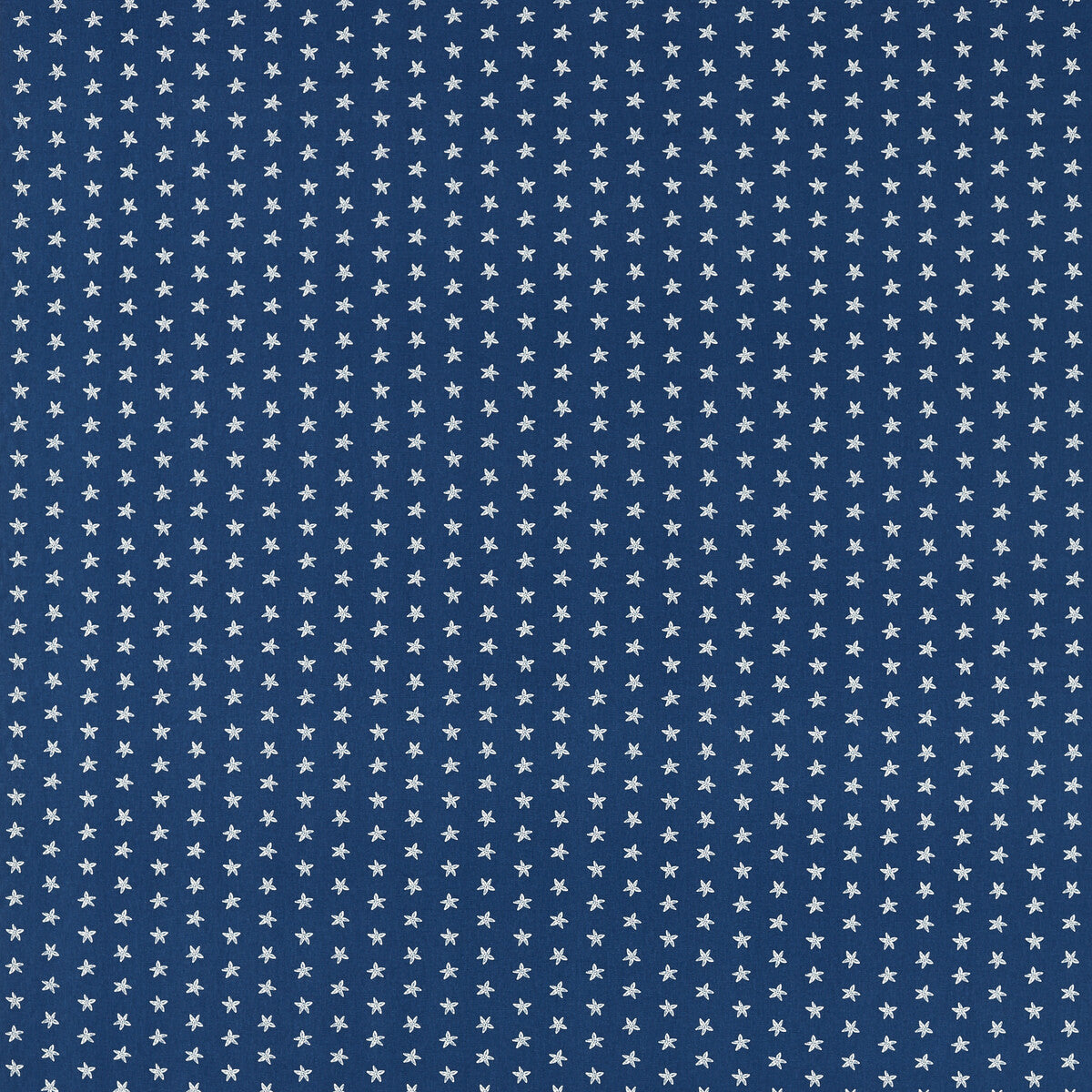 Seastar-Navy