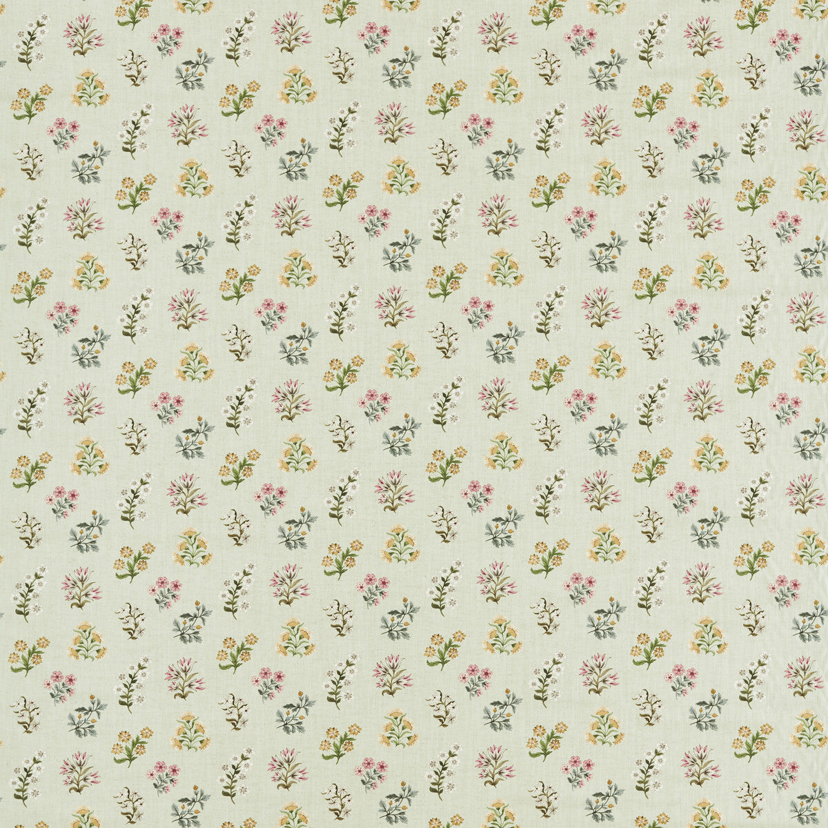 Leiden-Blush Sage