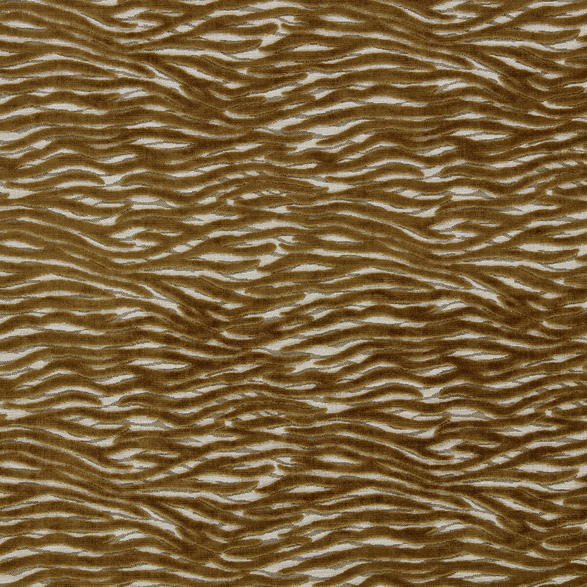 Wildstripe-Bronze