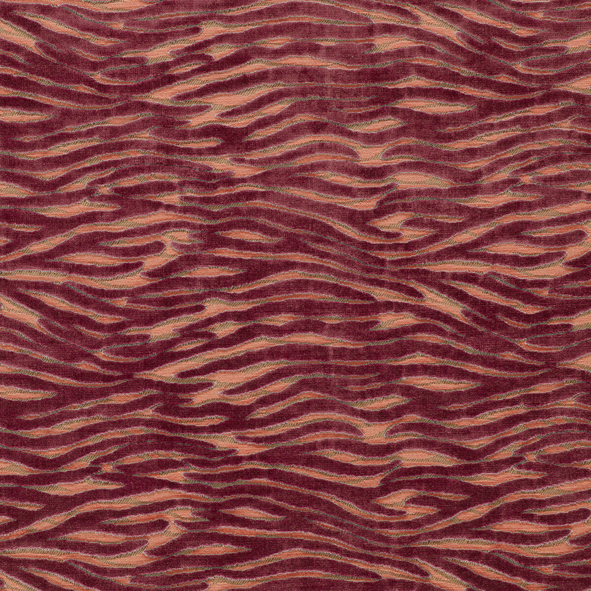 Wildstripe-Coral