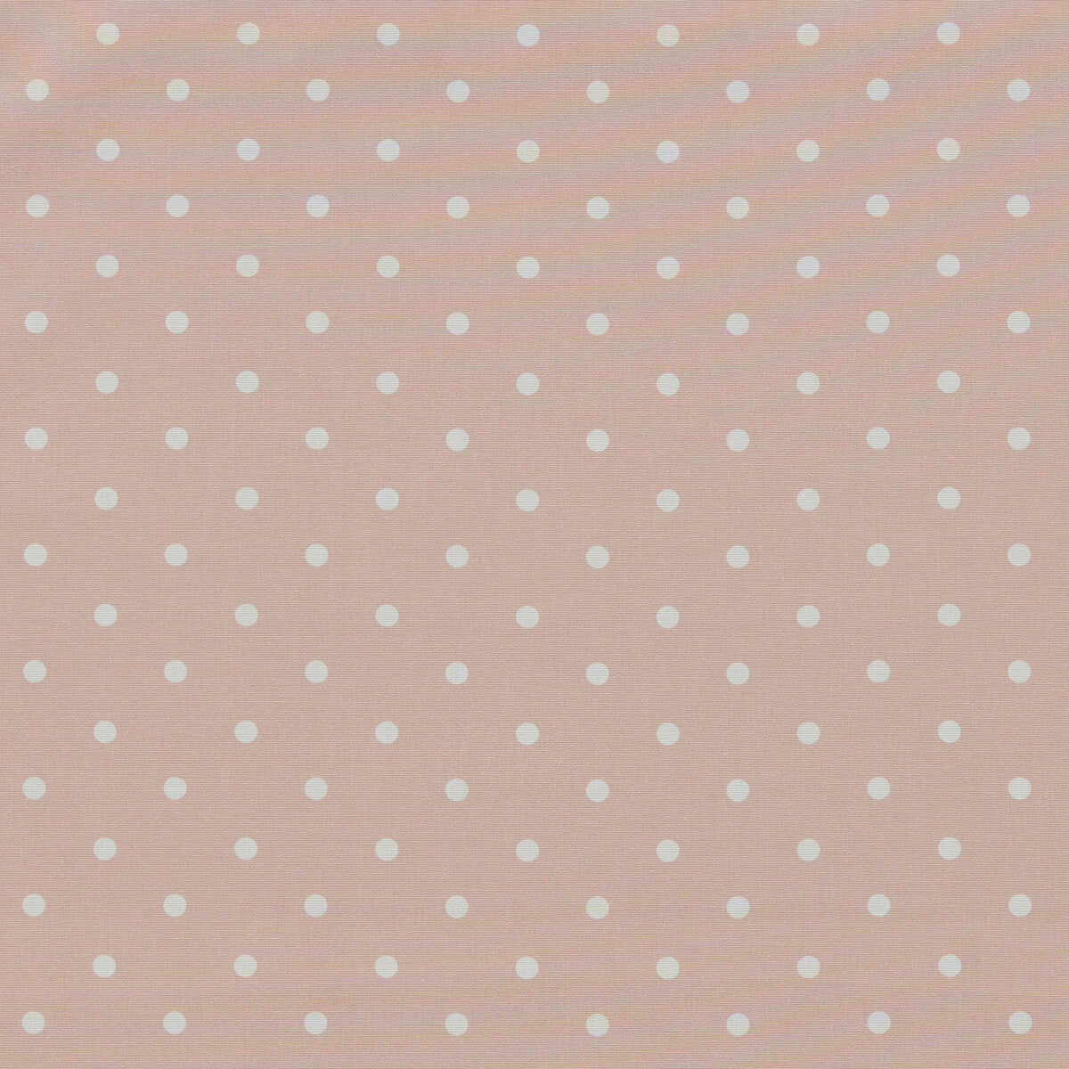 Dotty-Blush