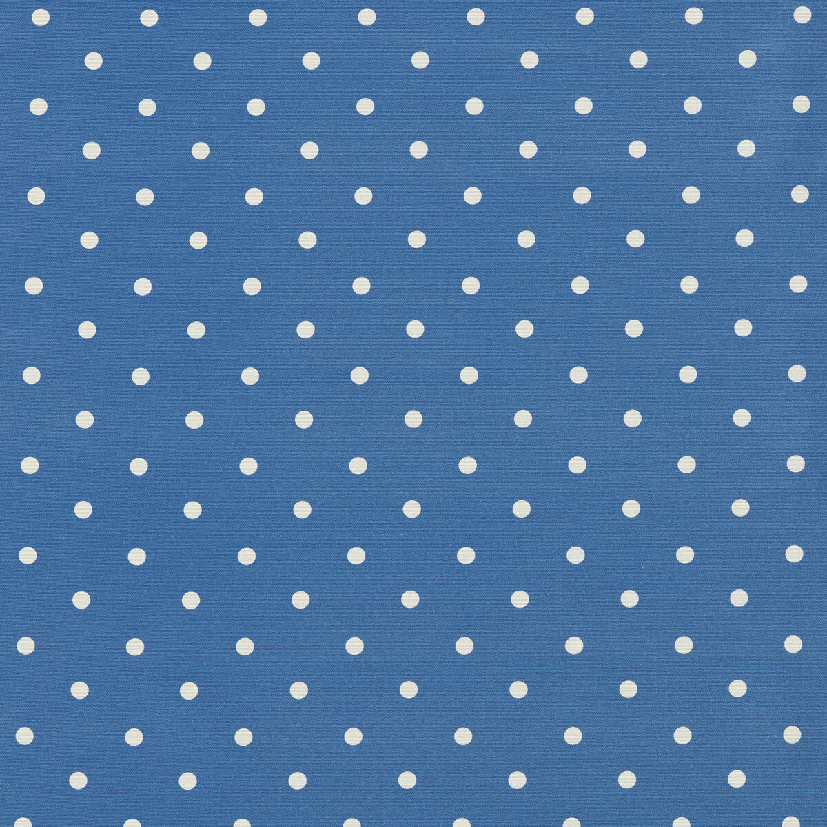 Dotty-Cobalt