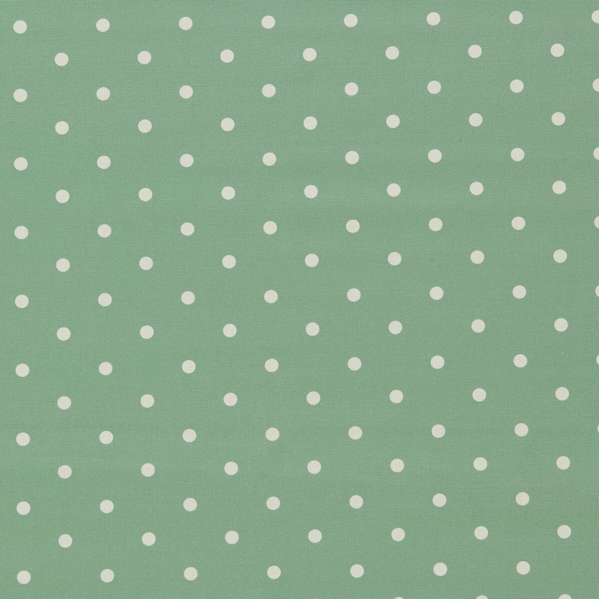 Dotty-Jade