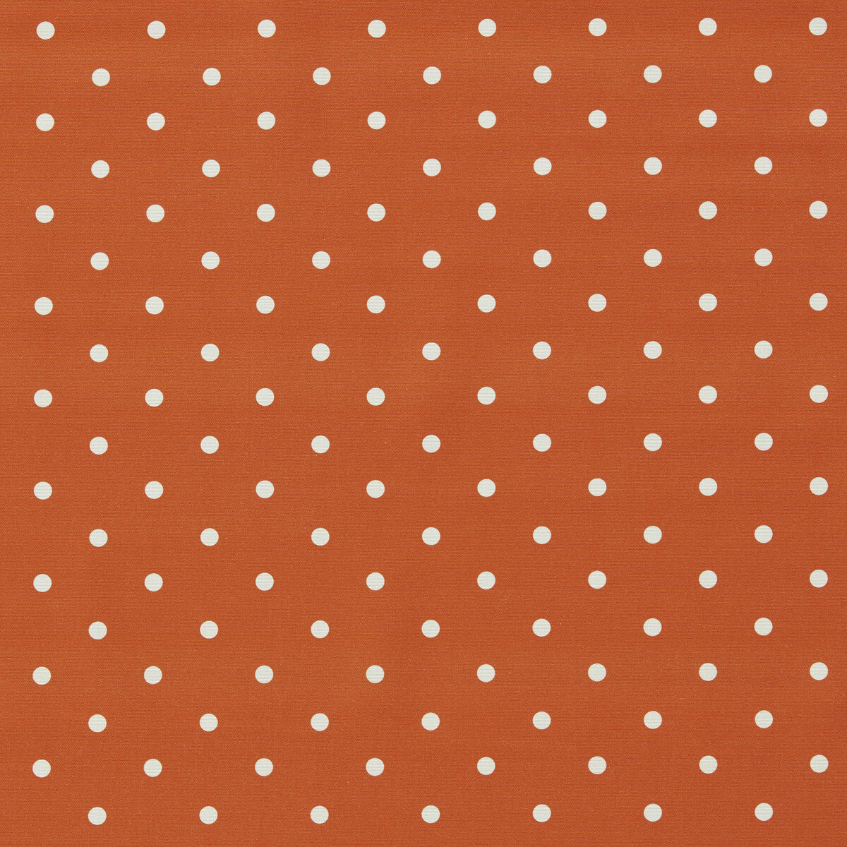 Dotty-Sunset
