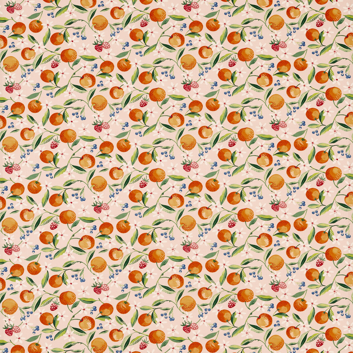 Orange Blossom-Blush